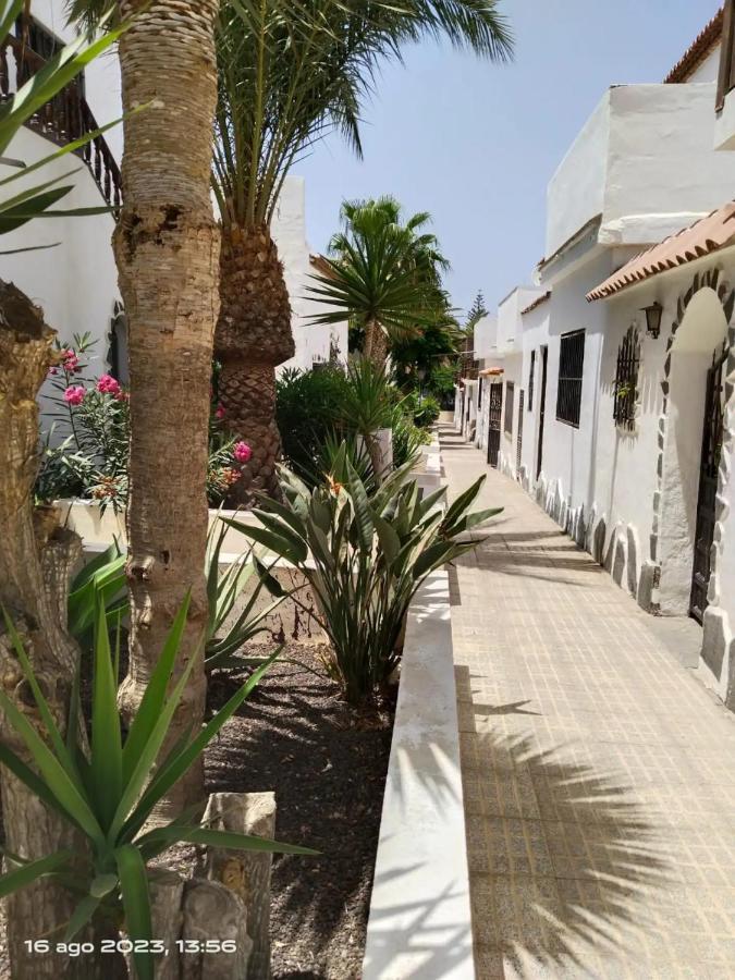 2 Camere Splendida Casa Vacanze In Tenerife Del Sur Casa Trilly Arona  Zewnętrze zdjęcie